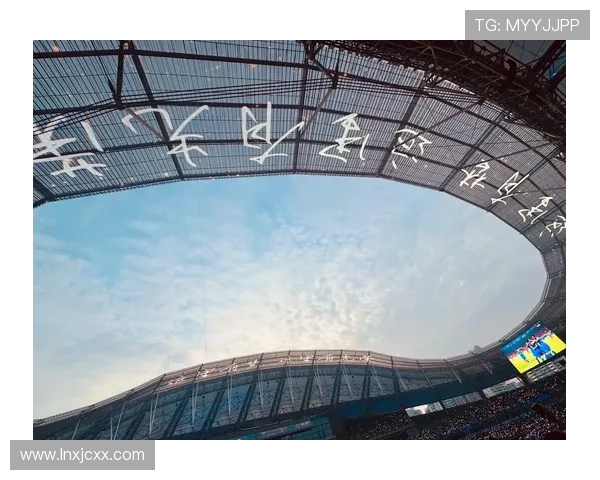 河南对申花Tifo：纵然艰难依旧璀璨如宝